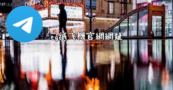 tg纸飞機官網網址