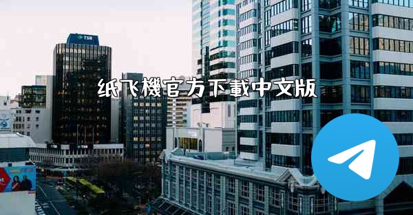 纸飞機官方下載中文版