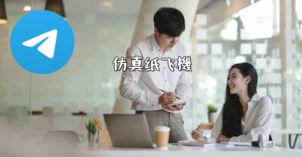 <b>仿真纸飞機</b>