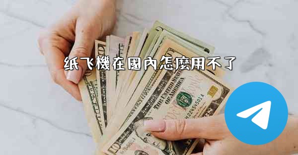 纸飞機在國內怎麼用不了