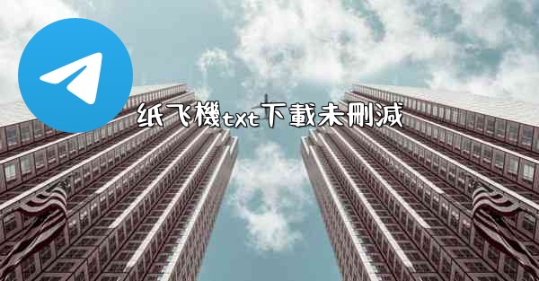 纸飞機txt下載未刪減