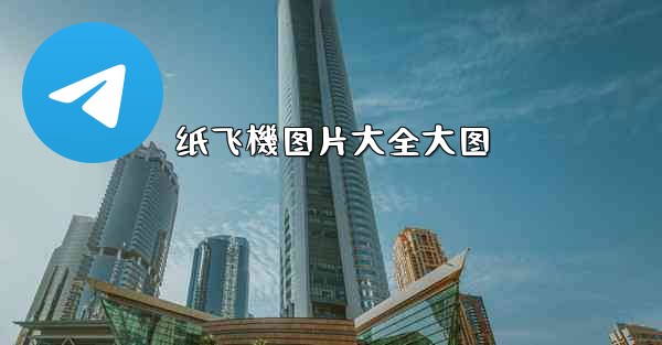 纸飞機图片大全大图