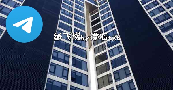 纸飞機by潭石txt