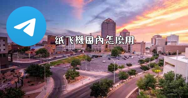 纸飞機國內怎麼用