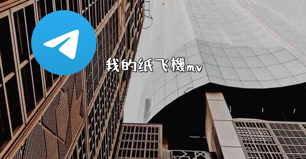 我的纸飞機mv