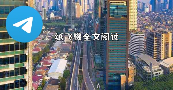 纸飞機全文阅读