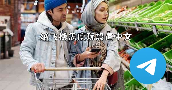 纸飞機怎麼玩設置中文