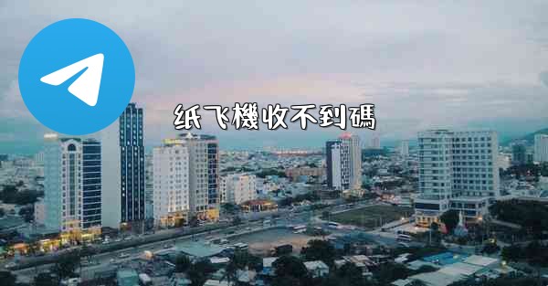 纸飞機收不到碼