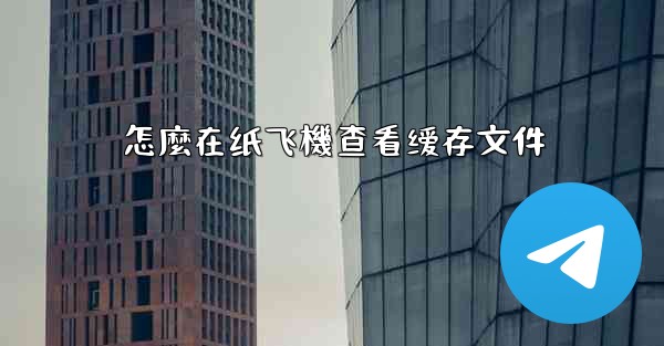 怎麼在纸飞機查看缓存文件