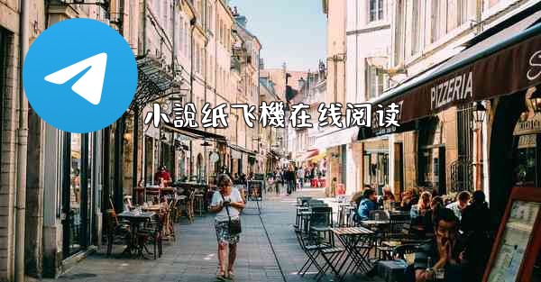 小說纸飞機在线阅读