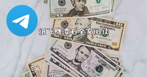 纸飞機潭石全文阅读