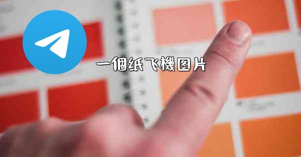 一個纸飞機图片