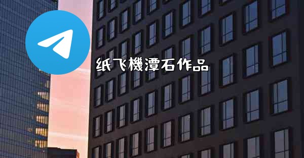 纸飞機潭石作品