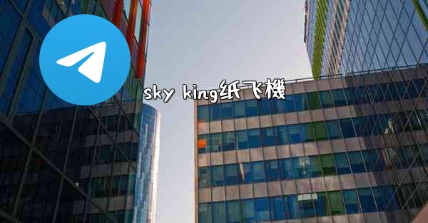 sky king纸飞機