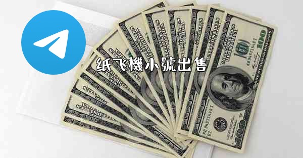 纸飞機小號出售