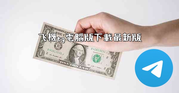 飞機tg電腦版下載最新版