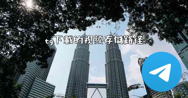 tg下載的视频存儲路径