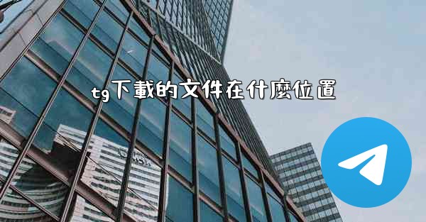 tg下載的文件在什麼位置