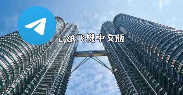 tg纸飞機中文版