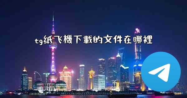 tg纸飞機下載的文件在哪裡