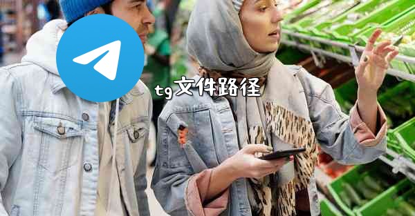 <b>tg文件路径</b>