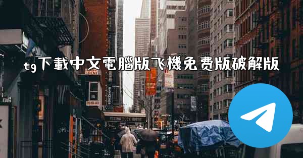 tg下載中文電腦版飞機免费版破解版