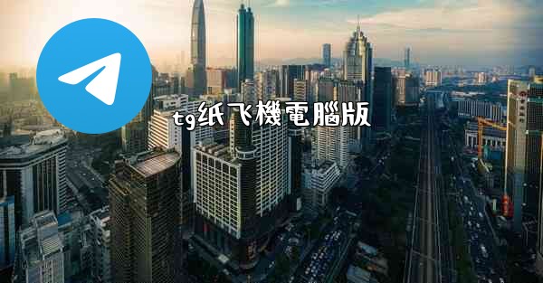 tg纸飞機電腦版