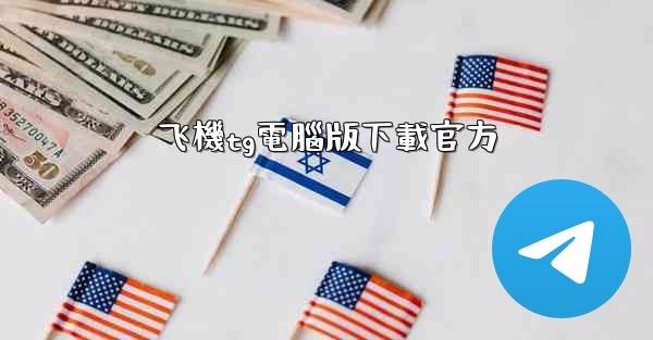 飞機tg電腦版下載官方
