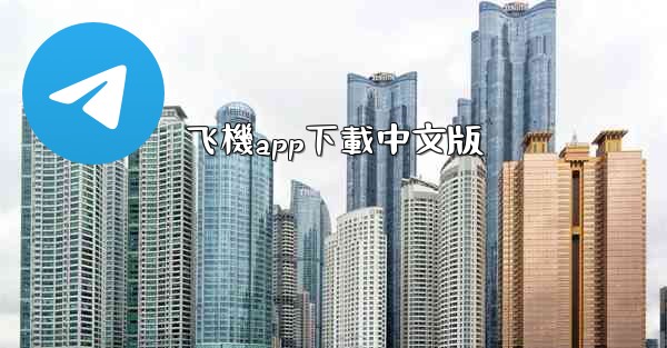 飞機app下載中文版