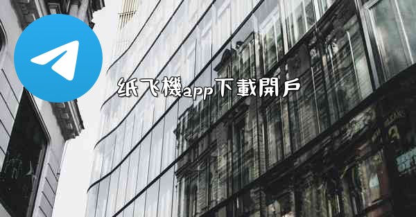 纸飞機app下載開戶