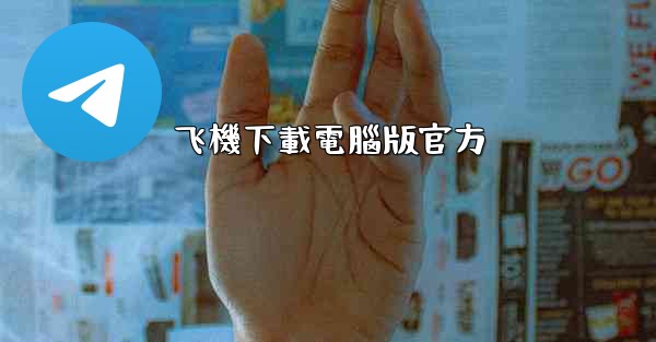 飞機下載電腦版官方