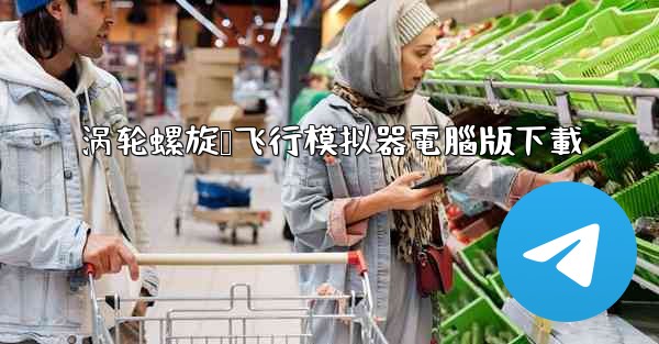 涡轮螺旋桨飞行模拟器電腦版下載