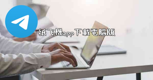 纸飞機app下載電腦版