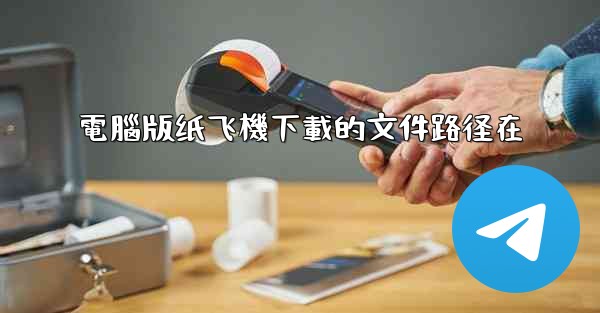 電腦版纸飞機下載的文件路径在