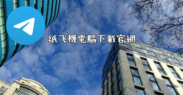 纸飞機電腦下載官網