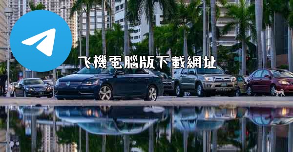 飞機電腦版下載網址