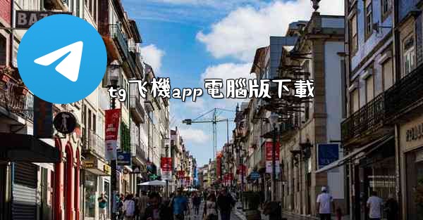 tg飞機app電腦版下載