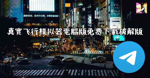 真實飞行模拟器電腦版免费下載破解版