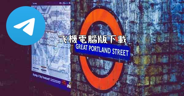 飞機電腦版下載