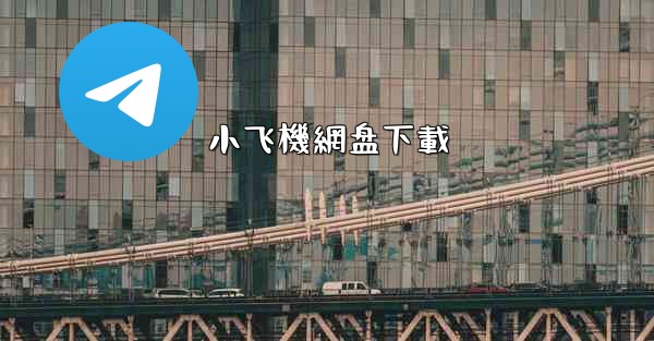 小飞機網盘下載