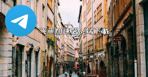 <b>飞鱼加速器pc端下載</b>