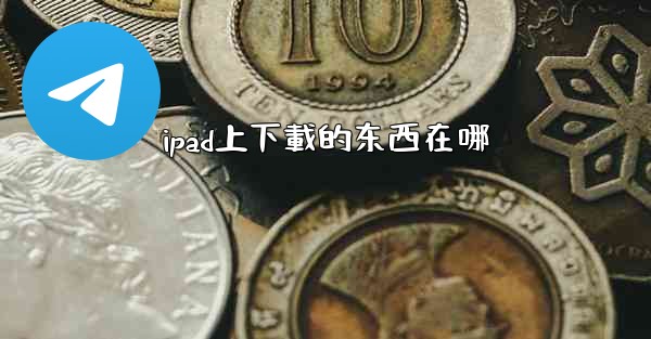 ipad上下載的东西在哪