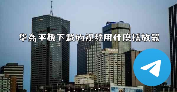 华為平板下載的视频用什麼播放器