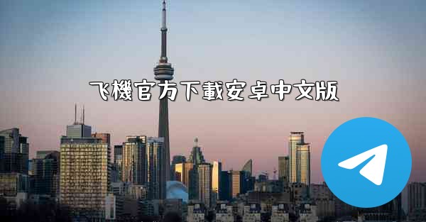 飞機官方下載安卓中文版