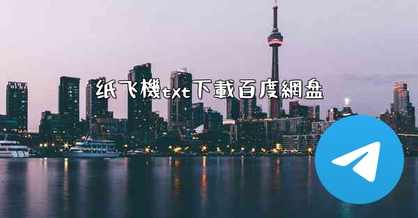 纸飞機txt下載百度網盘