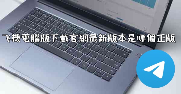 飞機電腦版下載官網最新版本是哪個正版
