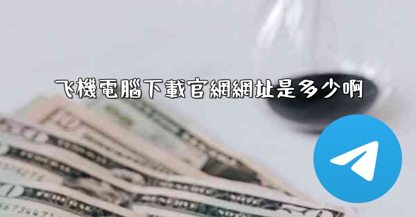 飞機電腦下載官網網址是多少啊