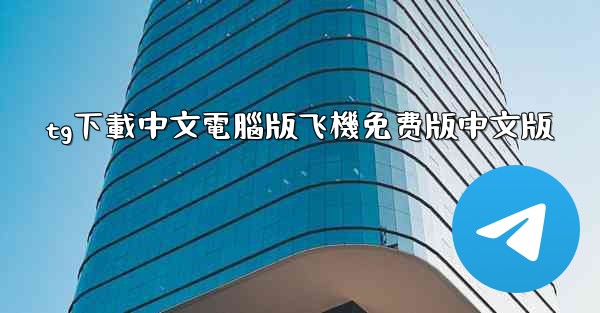 tg下載中文電腦版飞機免费版中文版