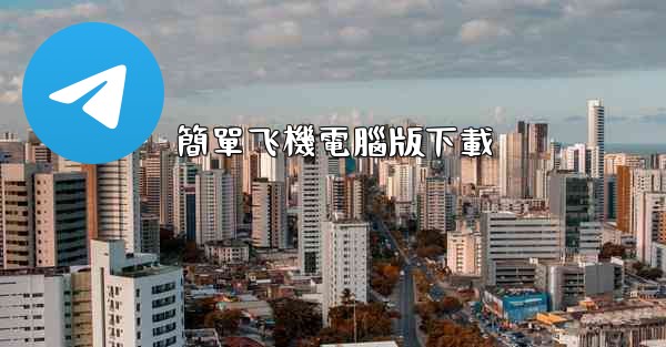 簡單飞機電腦版下載