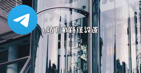 b站下載路径設置